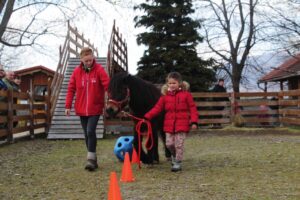 Playful pony driving Playful pony driving