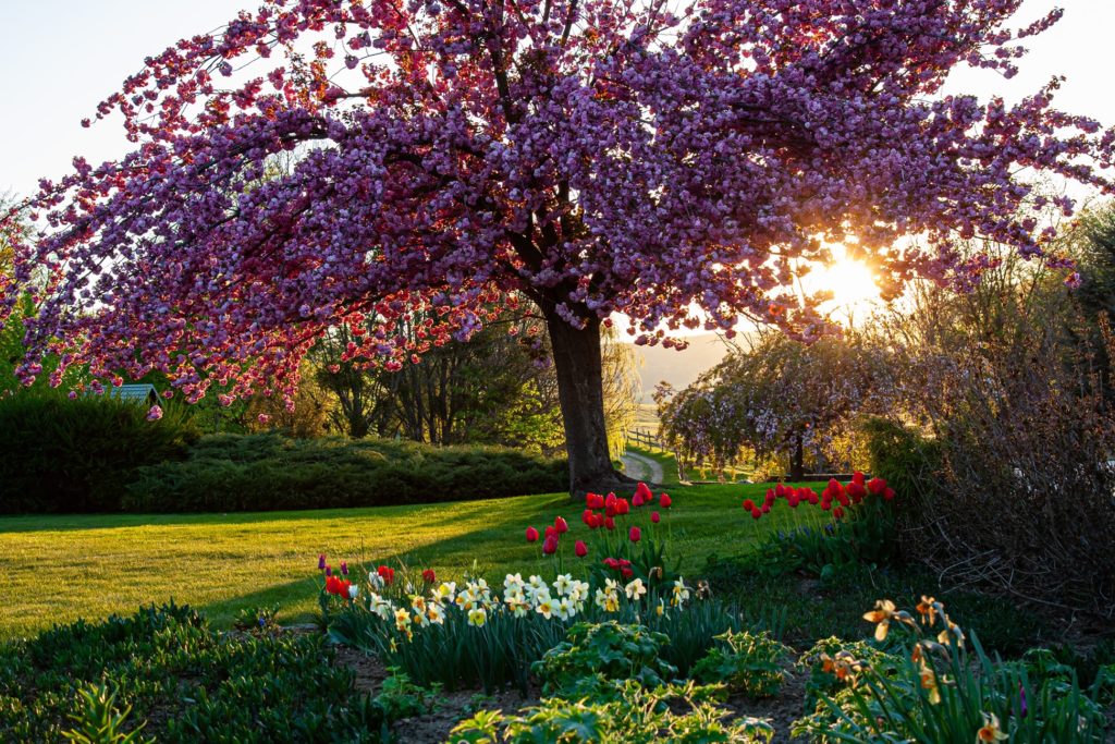 Nyaralás Szépalmán