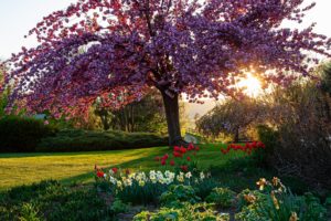 Nyaralás Szépalmán